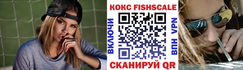 ОМГ ОМГ ссылки  Северо-Курильск  COCAIN FishScale 