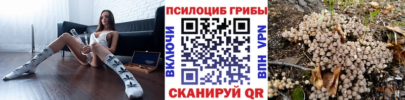 Псилоцибиновые грибы мухоморы  хочу наркоту  Северо-Курильск 