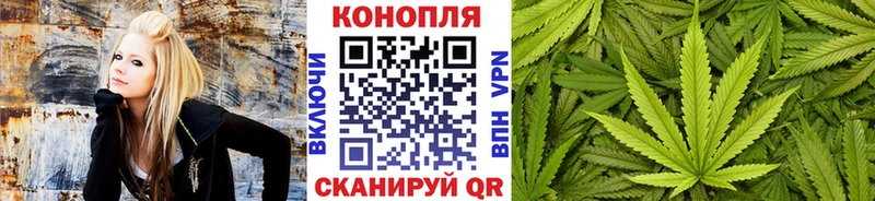 Бошки Шишки ГИДРОПОН  наркошоп  Северо-Курильск 